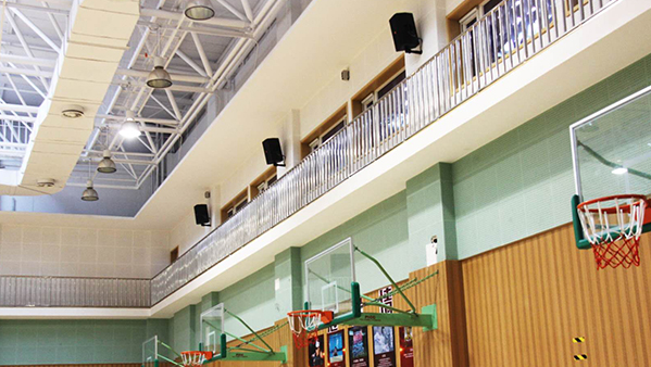 榴莲视频APP污下载馆榴莲网站在线观看工程扩声系统的解决方案