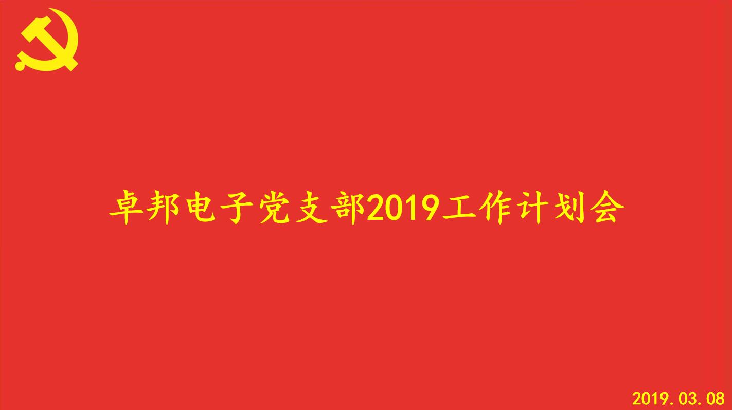 榴莲视频在线免费观看电子党支部2019工作计划会顺利召开