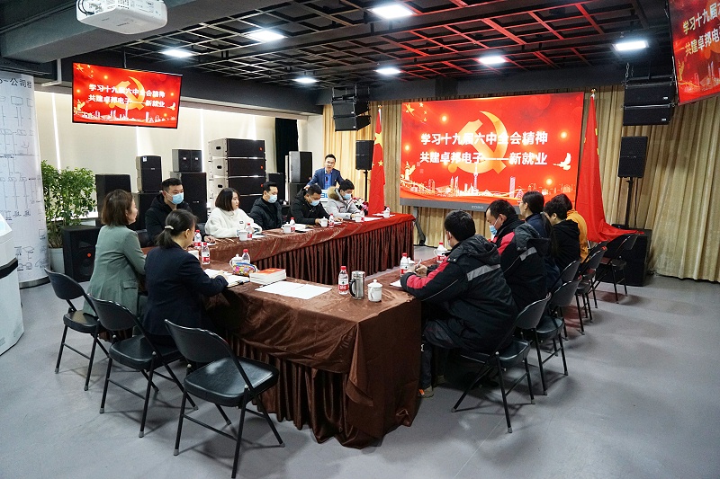 ZOBO榴莲视频在线免费观看党支部丨开展“学习贯彻党的十九届六中全会精神”主题党日活动
