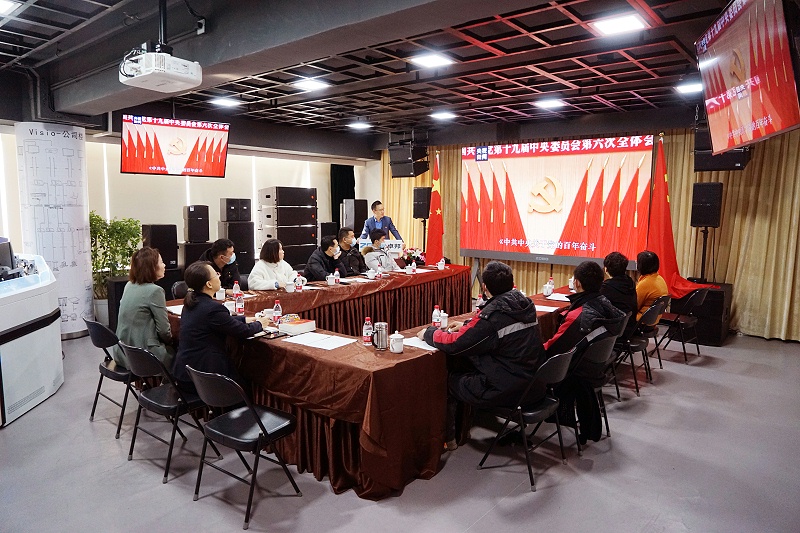 ZOBO榴莲视频在线免费观看党支部丨开展“学习贯彻党的十九届六中全会精神”主题党日活动