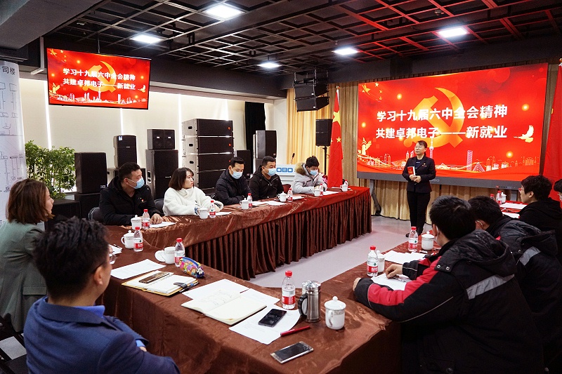 ZOBO榴莲视频在线免费观看党支部丨开展“学习贯彻党的十九届六中全会精神”主题党日活动