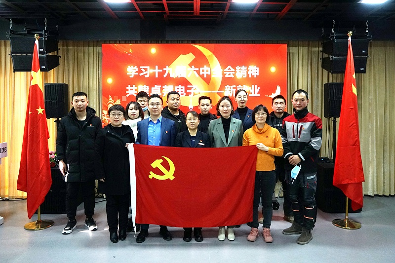 ZOBO榴莲视频在线免费观看党支部开展“学习贯彻党的十九届六中全会精神”主题党日活动