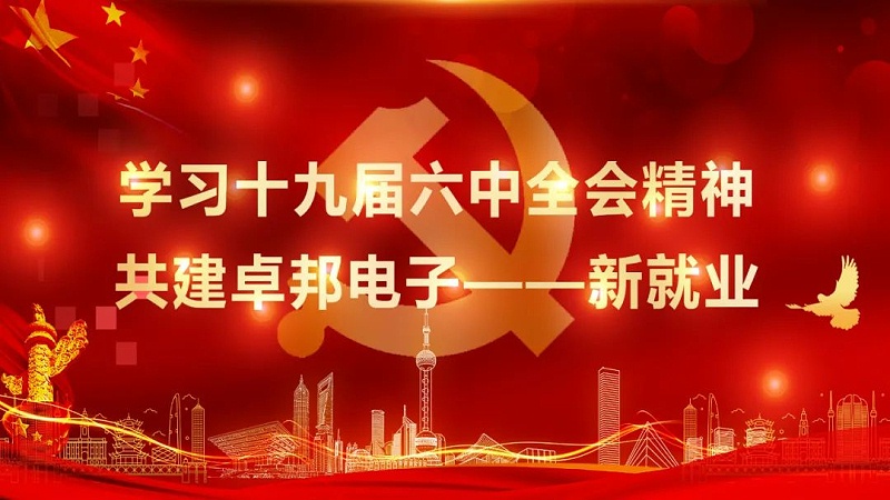 ZOBO榴莲视频在线免费观看党支部丨开展“学习贯彻党的十九届六中全会精神”主题党日活动