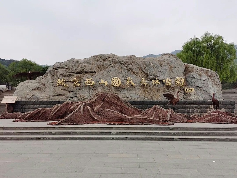 “缅怀先烈 传承初心”—ZOBO榴莲视频在线免费观看党支部参观无名英雄纪念碑活动