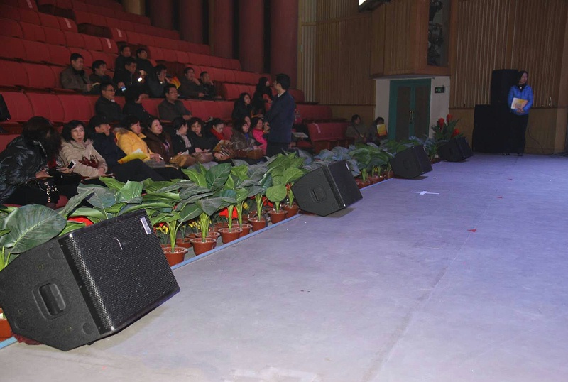 演出榴莲网站在线观看设备的安装技术要求有哪些
