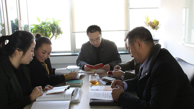 中共北京榴莲视频在线免费观看电子技术有限公司支部委员会成立
