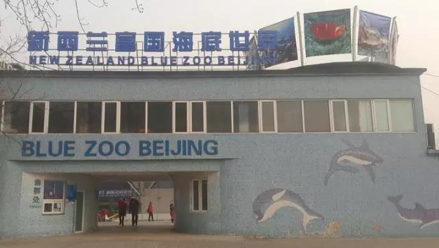 案例 ▎ZOBO榴莲视频在线免费观看为富国海底世界打造音视频系统